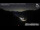 Webcam in Mallnitz, 12.1 km