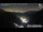 Webcam in Mallnitz, 12.1 km