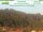 Webcam in Krippen, 31.3 km entfernt