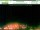 Webcam in Krippen, 12.1 mi away