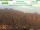 Webcam in Krippen, 13.2 mi away