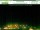 Webcam in Krippen, 3.5 km