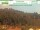 Webcam in Krippen, 2.8 km