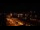Webcam in Pornic, 0 km