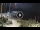 Webcam in Recco, 0.6 mi away
