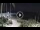 Webcam in Recco, 7.6 km