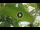 Webcam in Eh'mafushi (South Malé Atoll), 158.6 km