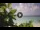 Webcam in Eh'mafushi (Atolón sur de Malé), 57.5 km