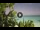 Webcam in Eh'mafushi (South Malé Atoll), 150.2 km