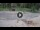 Webcam in Alba di Canazei, 1 mi away