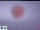 Webcam am Südpol, 1136.7 km entfernt