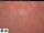 Webcam in Amundsen-Scott South Pole Station, 1351.5 km