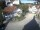 Webcam in Bad Grönenbach, 3.9 mi away