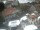 Webcam in Bad Grönenbach, 9.4 km