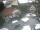 Webcam in Bad Grönenbach, 7.2 mi away