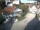 Webcam in Bad Grönenbach, 10.9 mi away