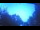Webcam in Roanoke, Virginia, 194 km
