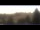 Webcam in Tettau, 12.1 mi away