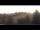 Webcam in Tettau, 6.8 km