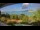 Webcam in Zakynthos, 2.3 km