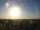 Webcam in Rivas-Vaciamadrid, 16.9 km