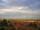 Webcam in Rivas-Vaciamadrid, 103.6 km entfernt