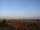 Webcam in Rivas-Vaciamadrid, 16.9 km