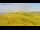 Webcam in Vedersø Klit, 33.2 mi away