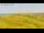 Webcam in Vedersø Klit, 27 mi away