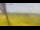Webcam in Vedersø Klit, 42.8 mi away