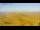Webcam in Vedersø Klit, 21 mi away