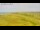 Webcam in Vedersø Klit, 21 mi away