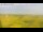 Webcam in Vedersø Klit, 29.8 mi away