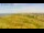 Webcam in Vedersø Klit, 27.3 mi away