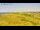 Webcam in Vedersø Klit, 90.1 km