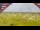 Webcam in Vedersø Klit, 219.2 km