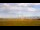 Webcam in Sprogø, 80.3 km
