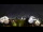 Webcam in Oberstaufen, 4.3 mi away