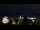 Webcam in Oberstaufen, 7.7 mi away