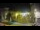 Webcam in Agropoli, 20.9 mi away