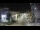 Webcam in Agropoli, 26.1 mi away
