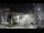 Webcam in Agropoli, 0.8 km entfernt