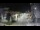 Webcam in Agropoli, 17.8 mi away