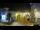 Webcam in Agropoli, 55.2 km