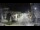 Webcam in Agropoli, 11.1 km