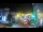 Webcam in Agropoli, 17.8 mi away