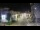 Webcam in Agropoli, 7 km