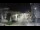 Webcam in Agropoli, 6.3 km