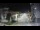 Webcam in Agropoli, 42.9 km