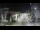 Webcam in Agropoli, 6.3 km